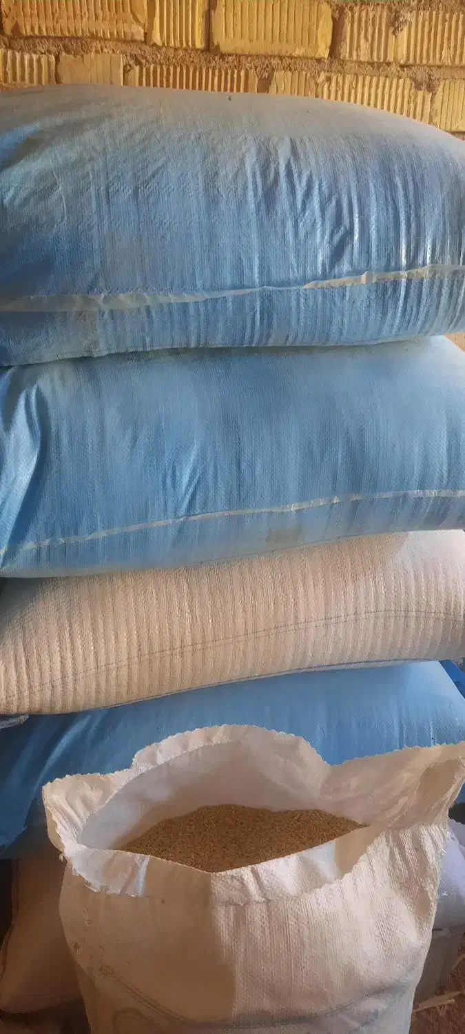 گندم دیم|عمده‌فروشی|شیراز, گویم|دیوار