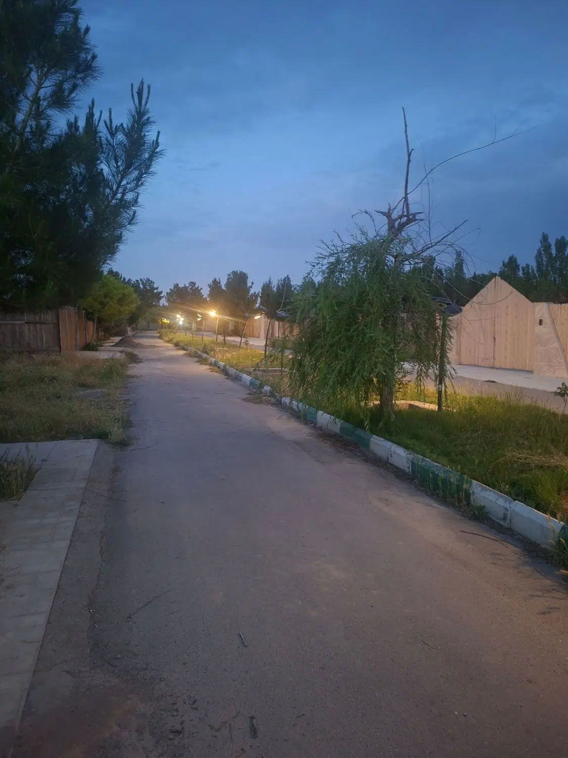 تصویر 14