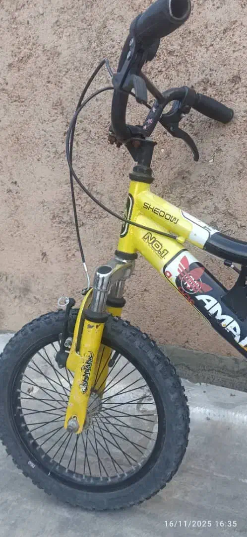 دوچرخه|دوچرخه، اسکیت، اسکوتر|مرودشت, ثبت احوال|دیوار