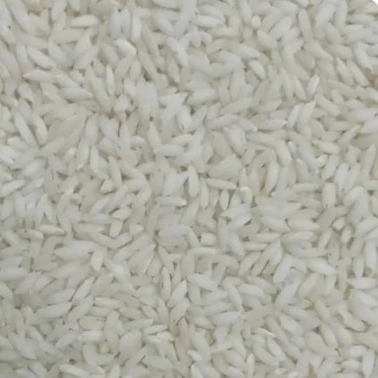 برنج|خوردنی و آشامیدنی|حمیدیا, |دیوار