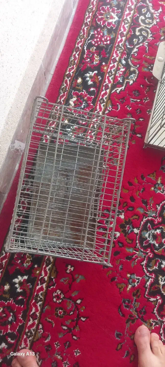 دوتا قفس|لوازم جانبی حیوانات|تهران, مسعودیه|دیوار