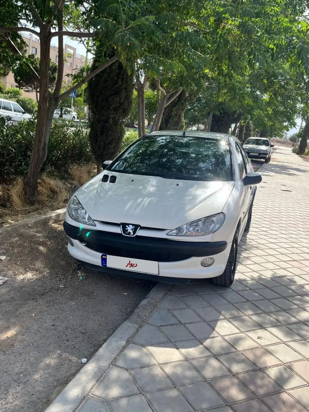206Sd V8 مدل 87|خودرو سواری و وانت|اصفهان, رزمندگان|دیوار