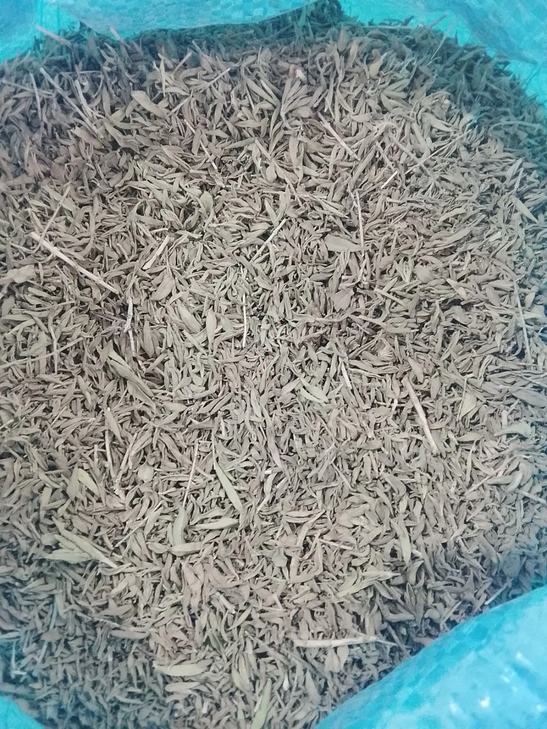 آویشن|خوردنی و آشامیدنی|ایلام, |دیوار