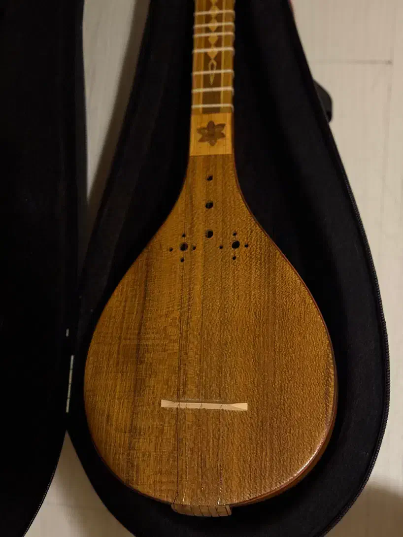 سه تار|سازهای سنتی|تهران, هفت حوض|دیوار