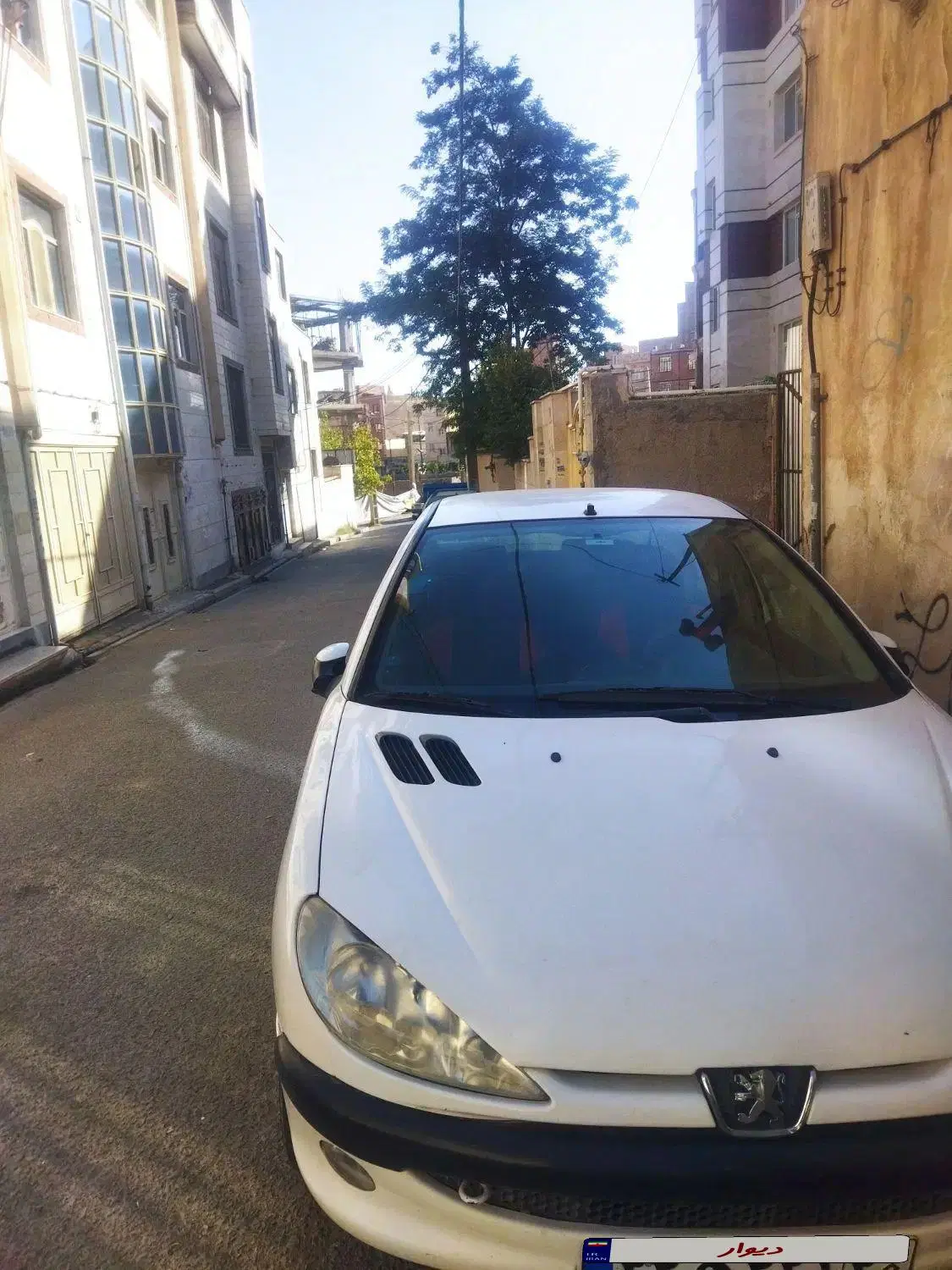 206 v8|خودرو سواری و وانت|بومهن, |دیوار