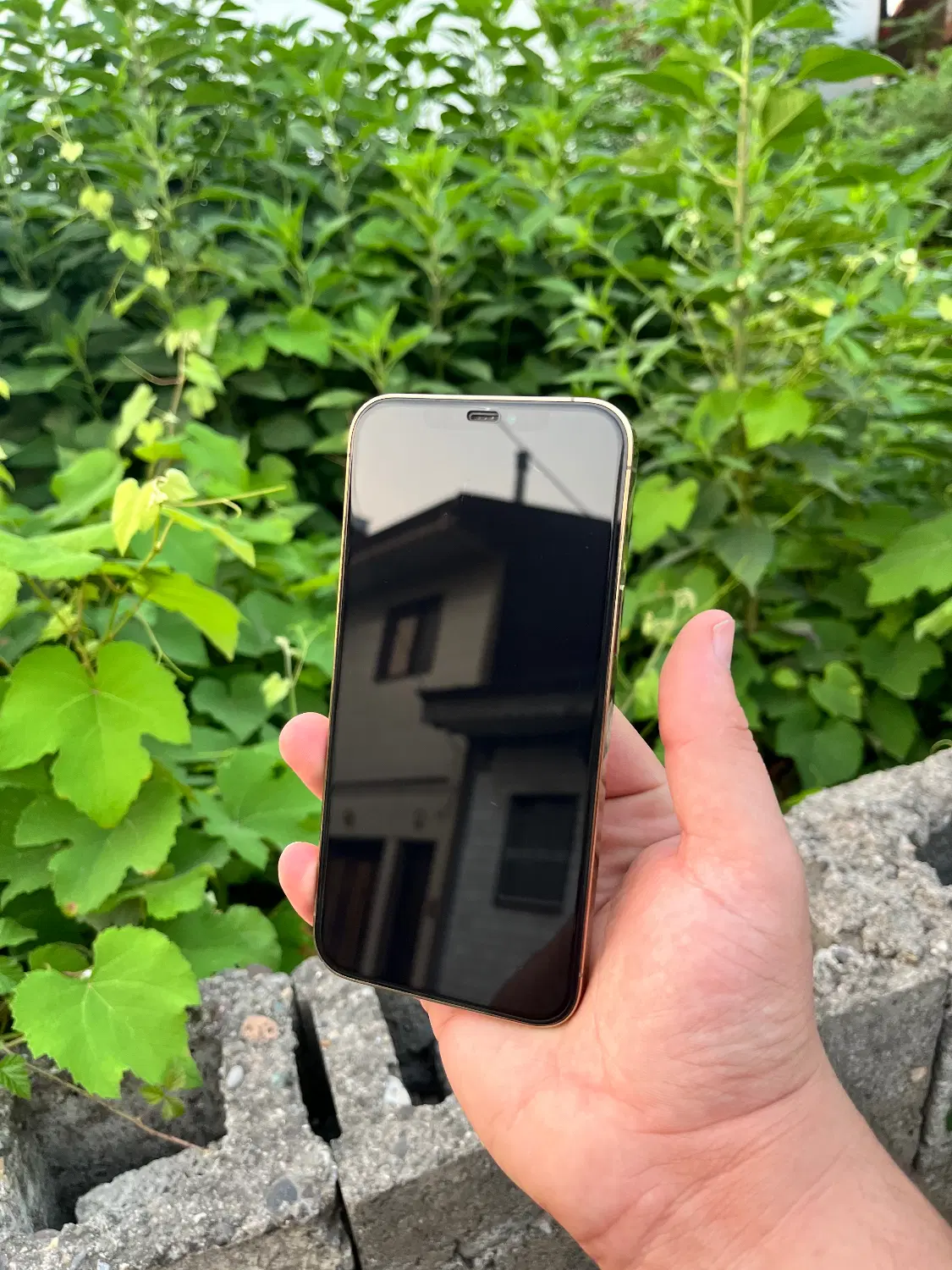 iphone 12 max|موبایل|رشت, آزادگان|دیوار