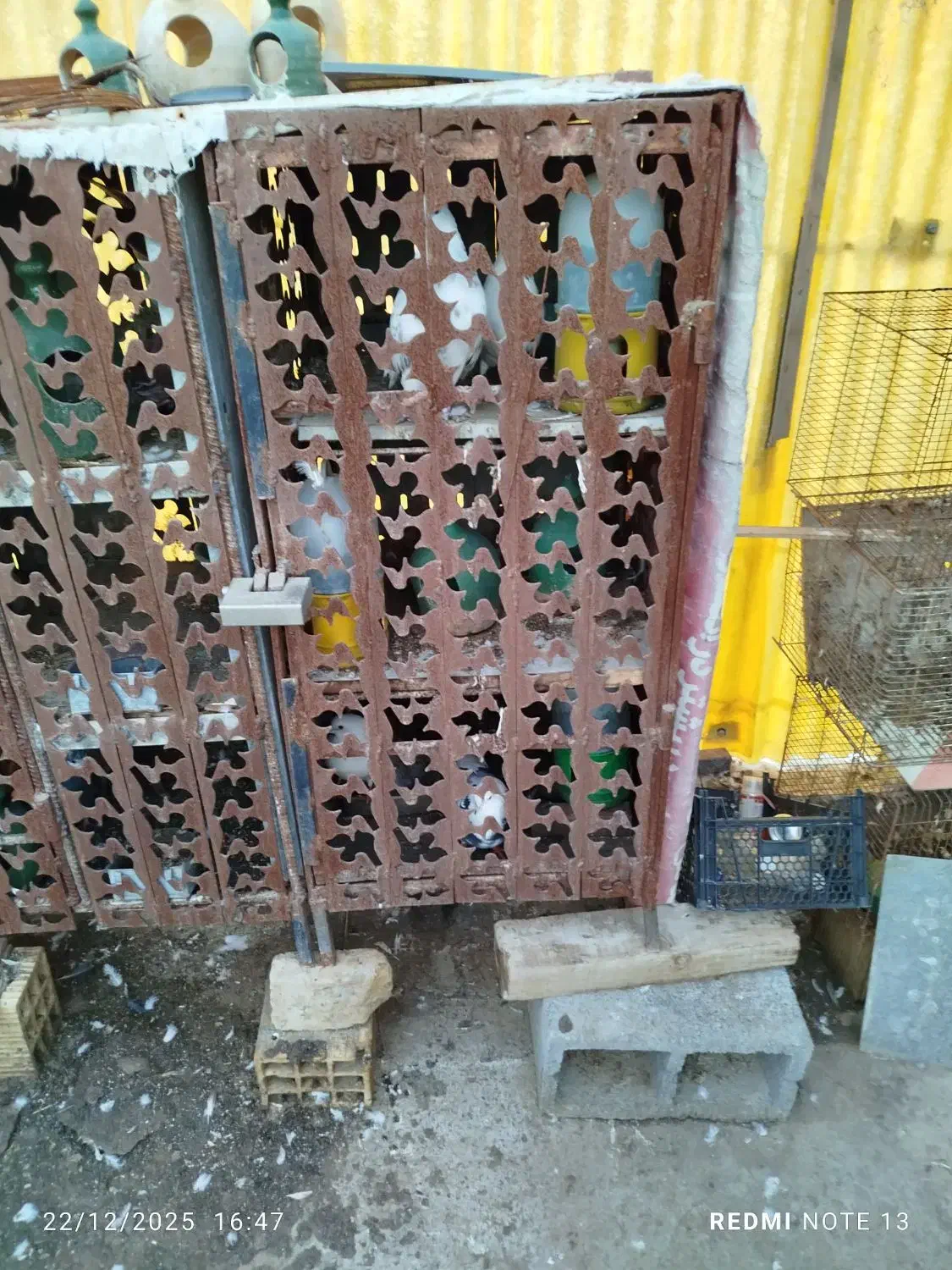 جفت کن|لوازم جانبی حیوانات|بندرعباس, |دیوار