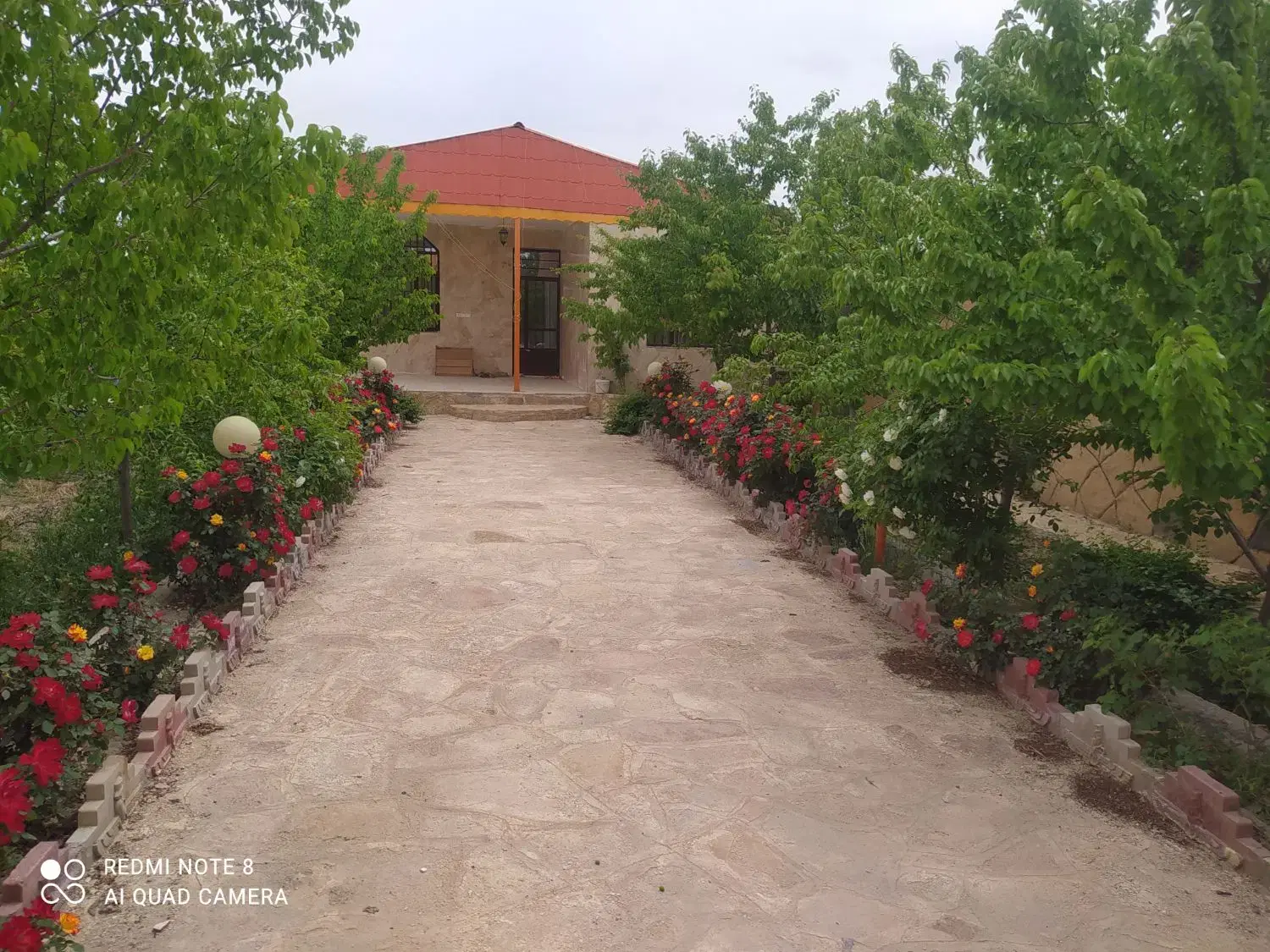 تصویر 3