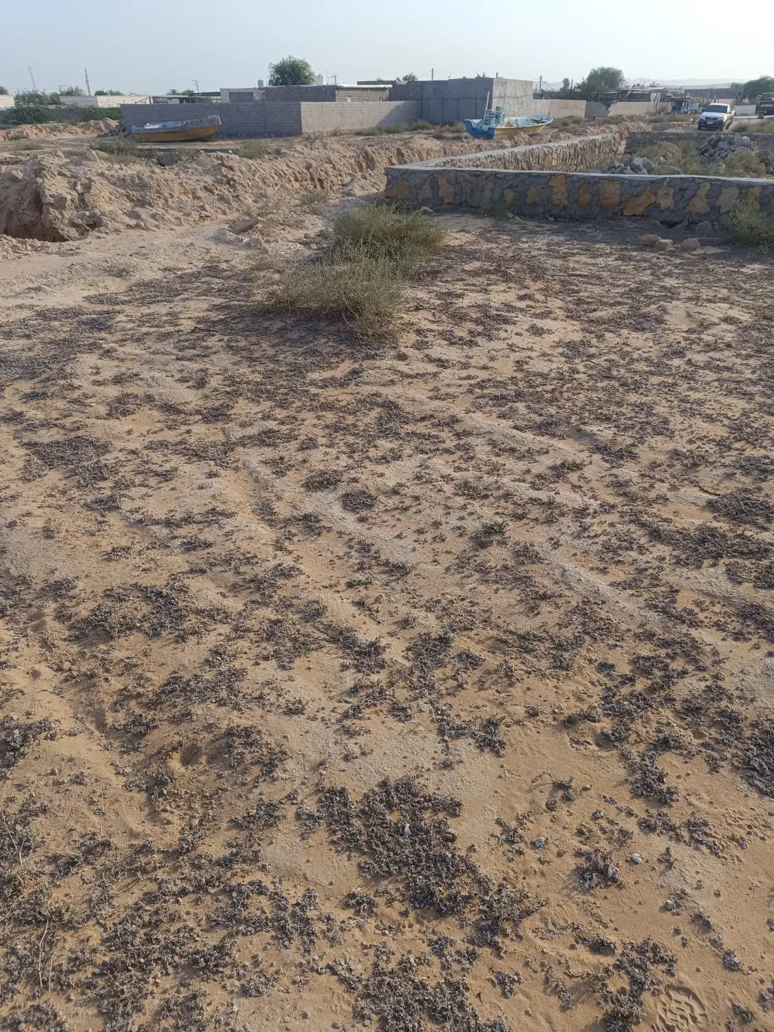 تصویر 5