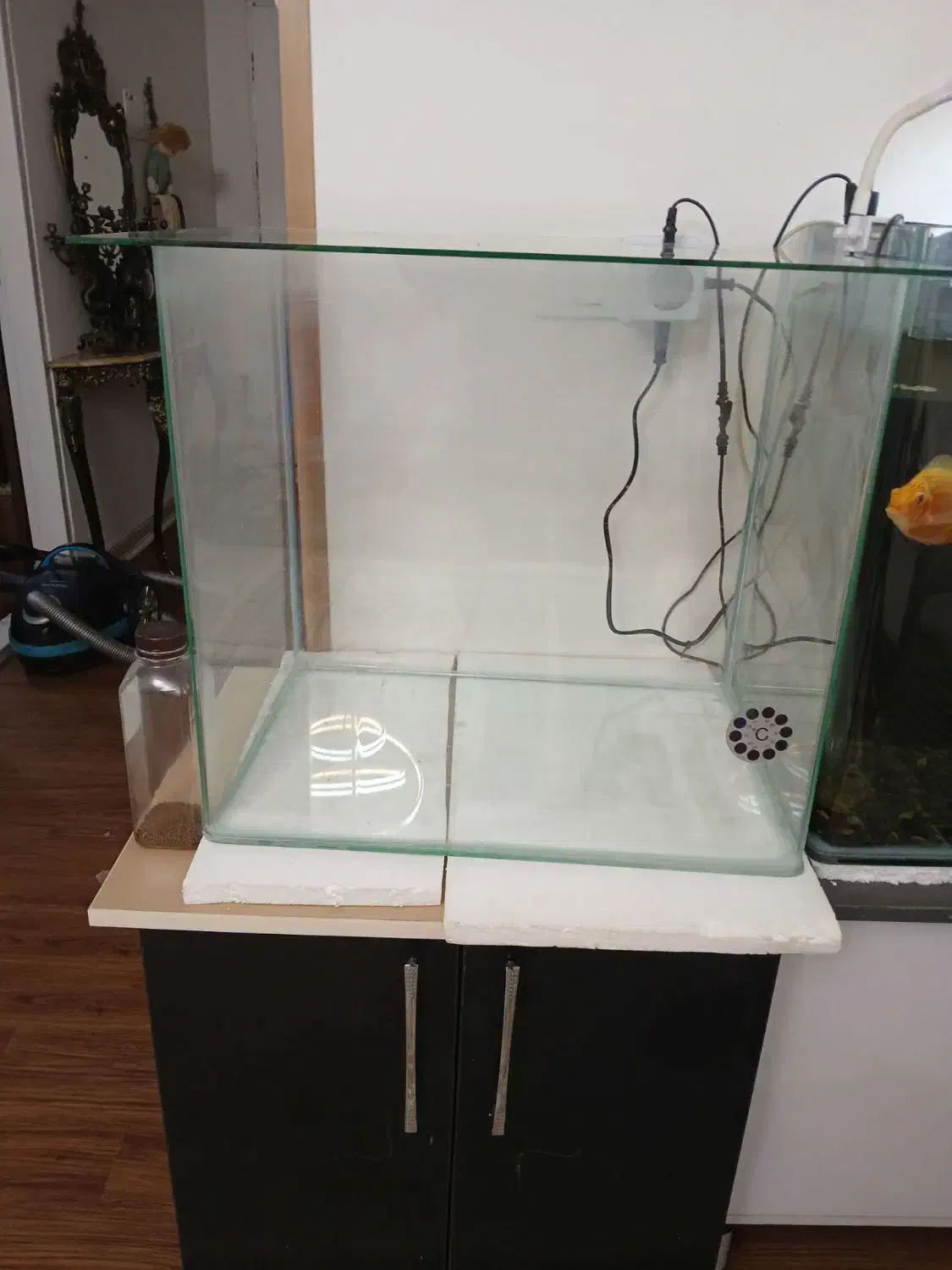 آکواریوم و پایه|ماهی|قزوین, |دیوار