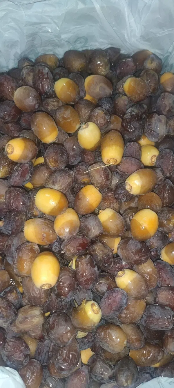رطب|خوردنی و آشامیدنی|خور (فارس), |دیوار