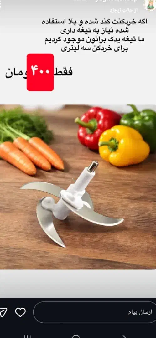 چندکاره|خردکن، آسیاب، غذاساز|ایلام, |دیوار