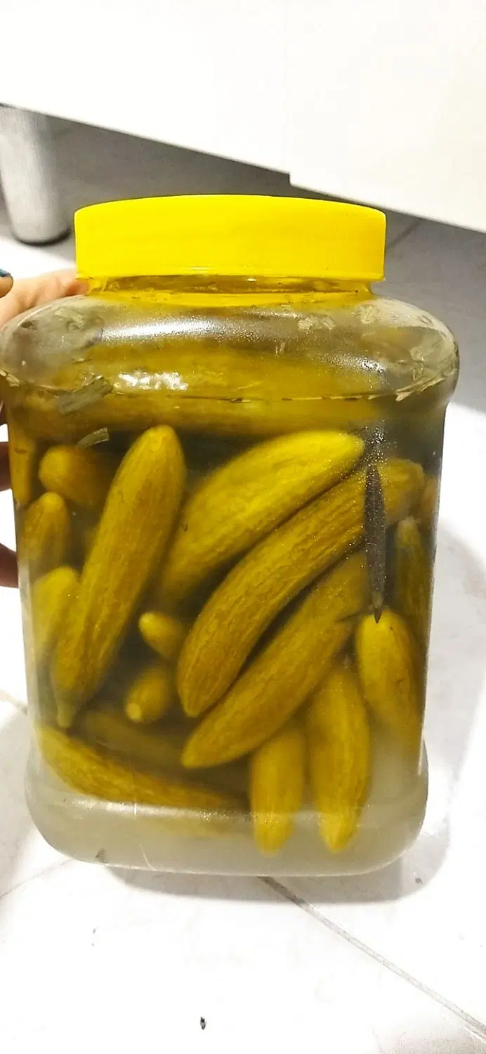 ترشی|خوردنی و آشامیدنی|خورموج, |دیوار