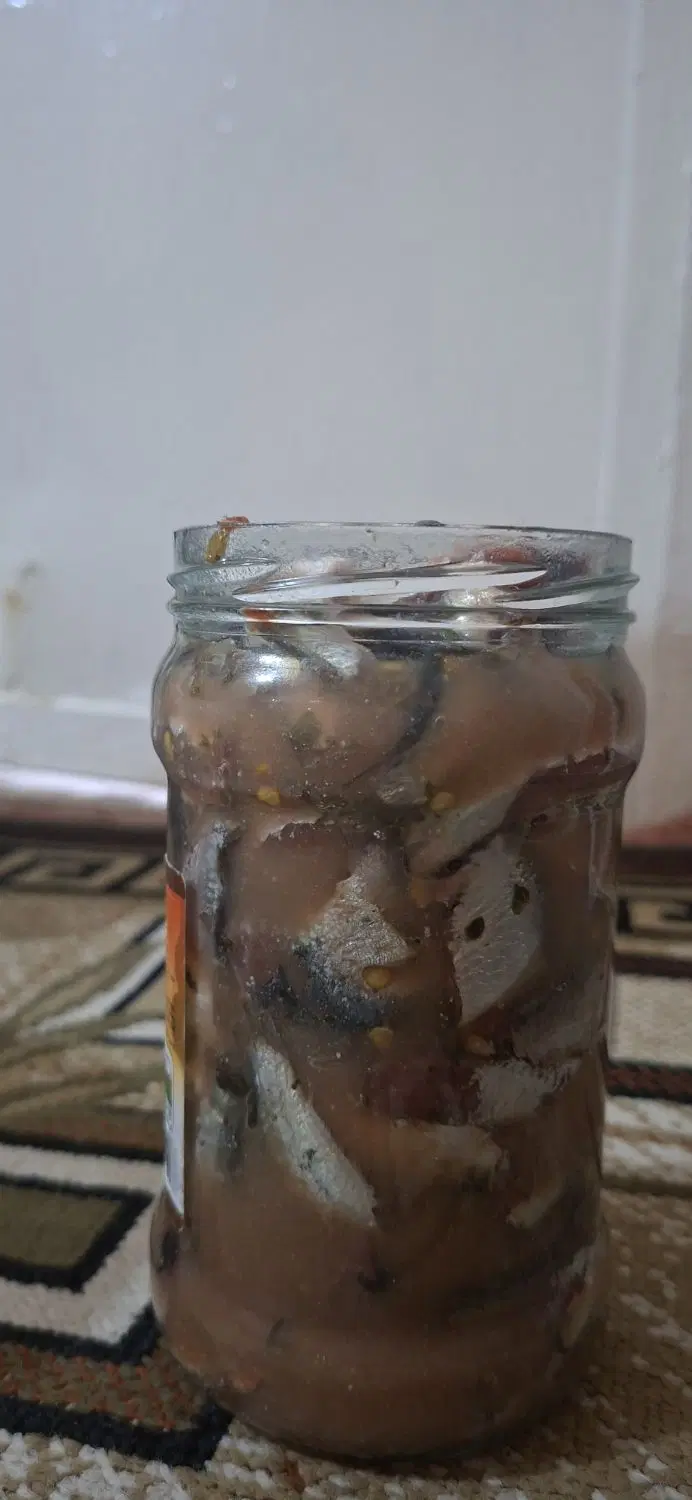سور|ماهی|بندر کنگان, |دیوار