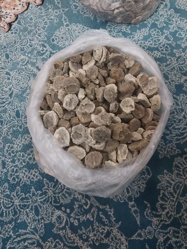 کشک|خوردنی و آشامیدنی|مشهد, ایثارگران|دیوار