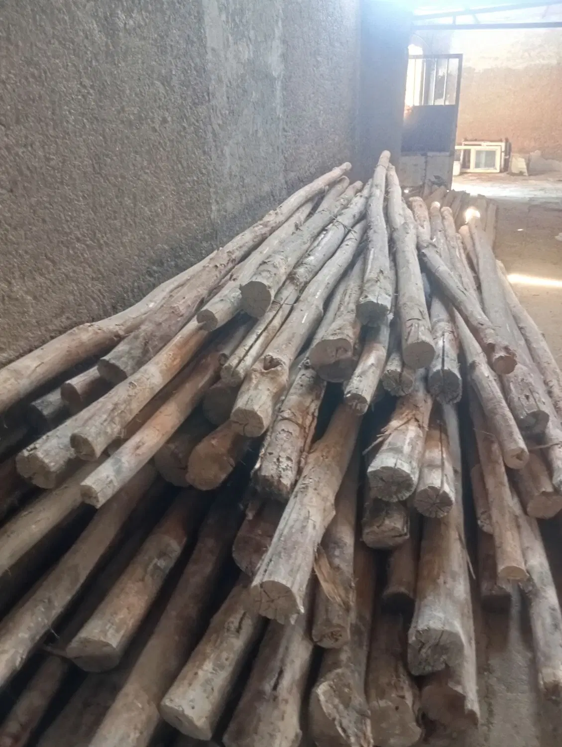 چوب قدیمی سالم 4متری در مرودشت، رودبال