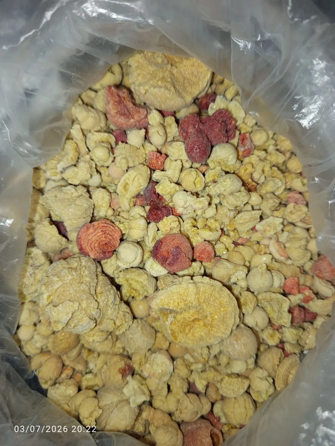 گنجیده|خوردنی و آشامیدنی|داراب, |دیوار