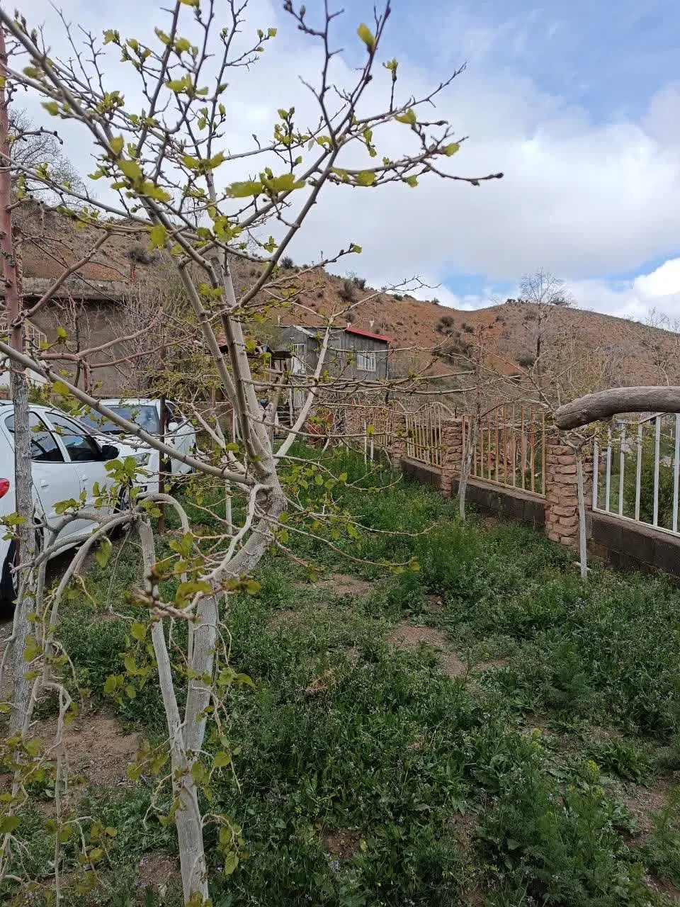 تصویر 10