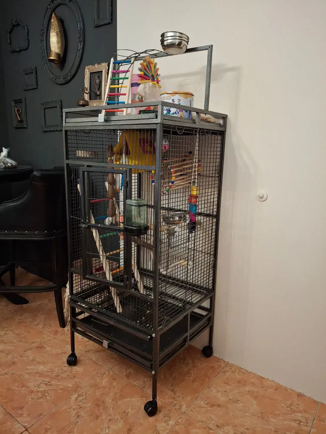 قفس پرنده|لوازم جانبی حیوانات|تهران, سوهانک|دیوار