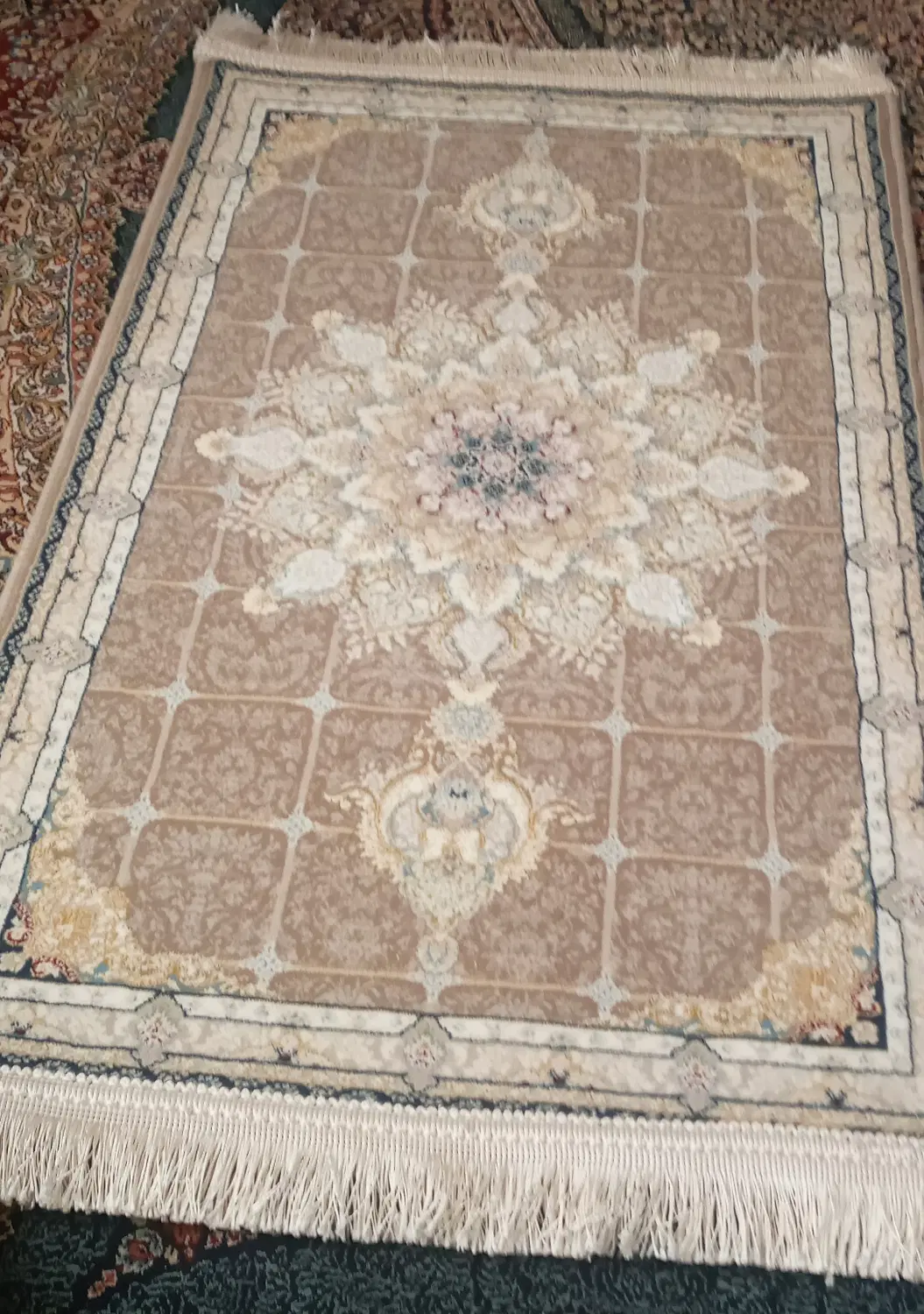 پادری|پادری|تربت‌حیدریه, داروپخش|دیوار