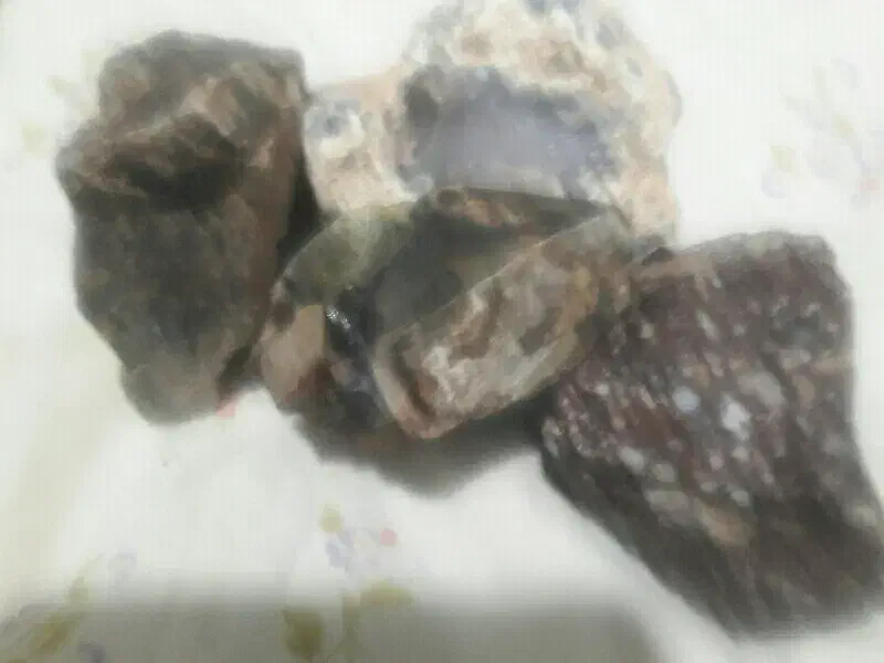 سنگ‌عقیق‌و‌کلکسیون|کلکسیون و سرگرمی|شاندیز, |دیوار