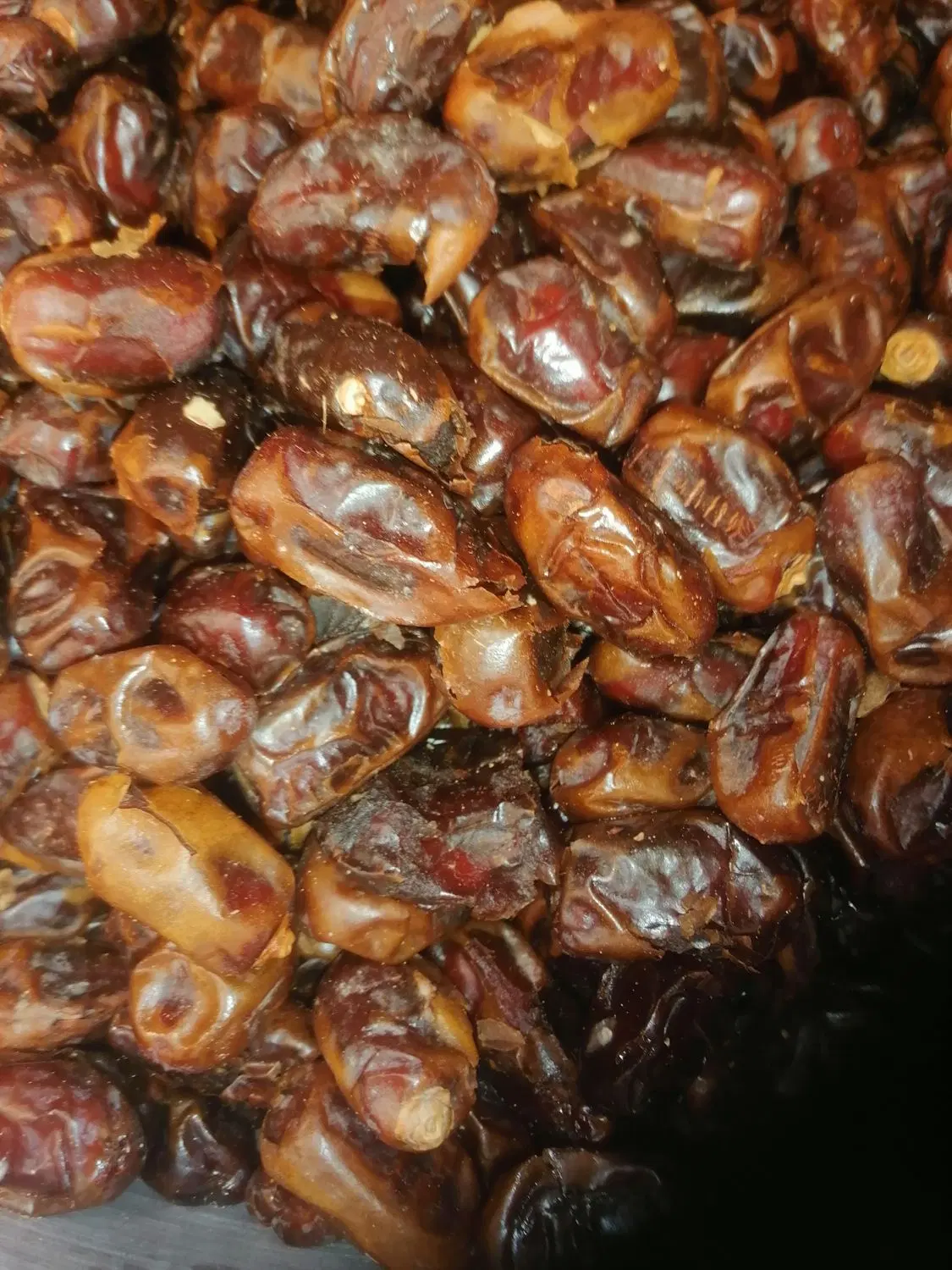 خرما|خوردنی و آشامیدنی|اهواز, پردیس دو|دیوار