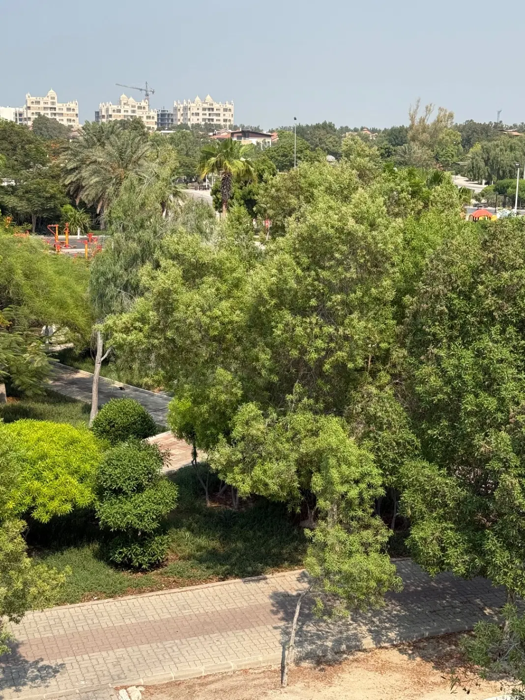 تصویر 2