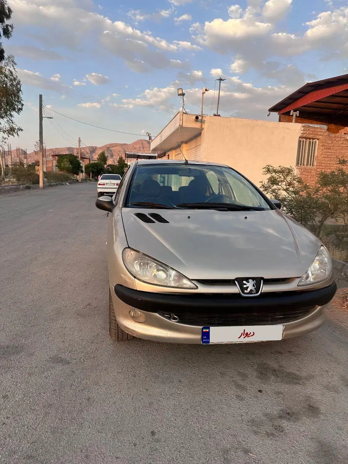 206مدل۱۳۸۰|خودرو سواری و وانت|کرمان, |دیوار