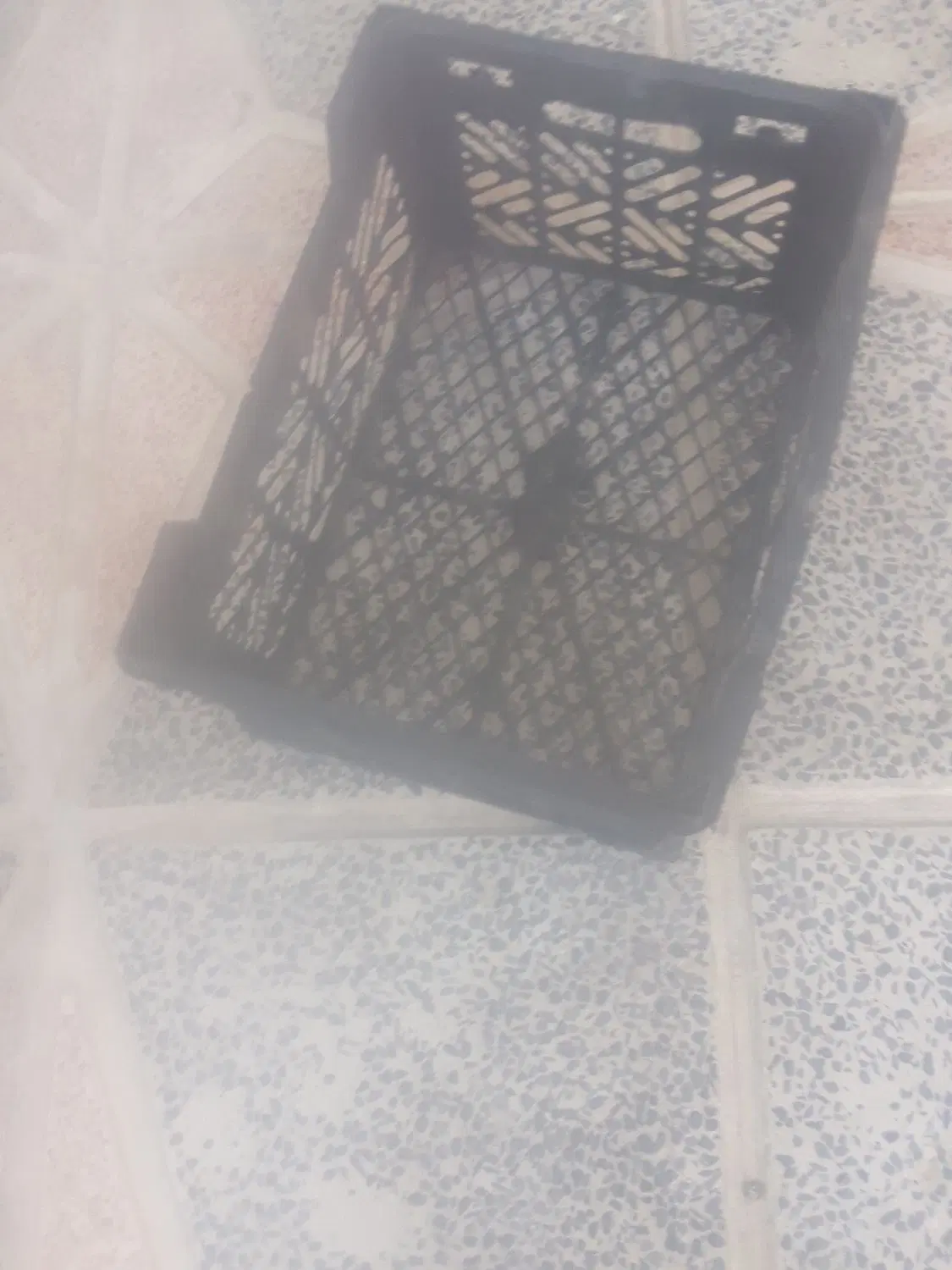 جعبه|ظروف نگهدارنده، پلاستیکی، یکبارمصرف|تاکستان, |دیوار
