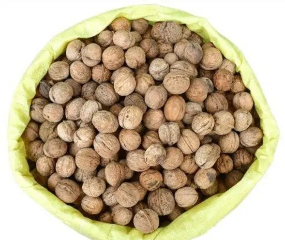 گردو|خوردنی و آشامیدنی|قوچان, |دیوار