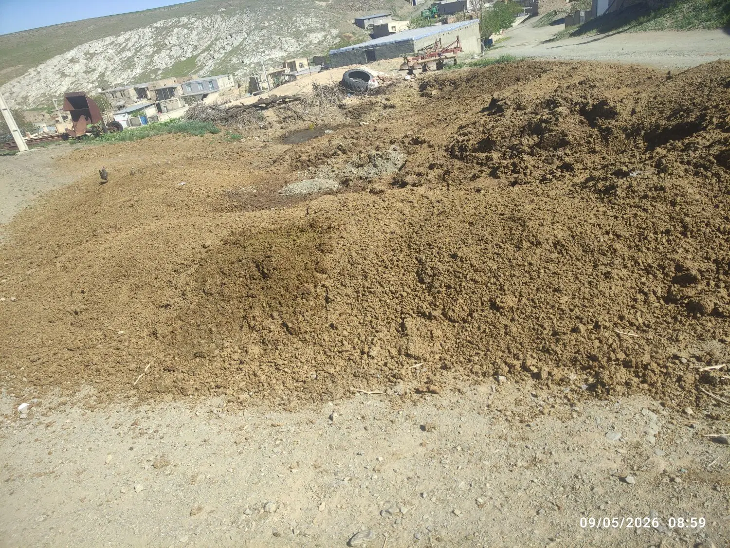 کود گاوی|خدمات باغبانی و درختکاری|صالح آباد, |دیوار