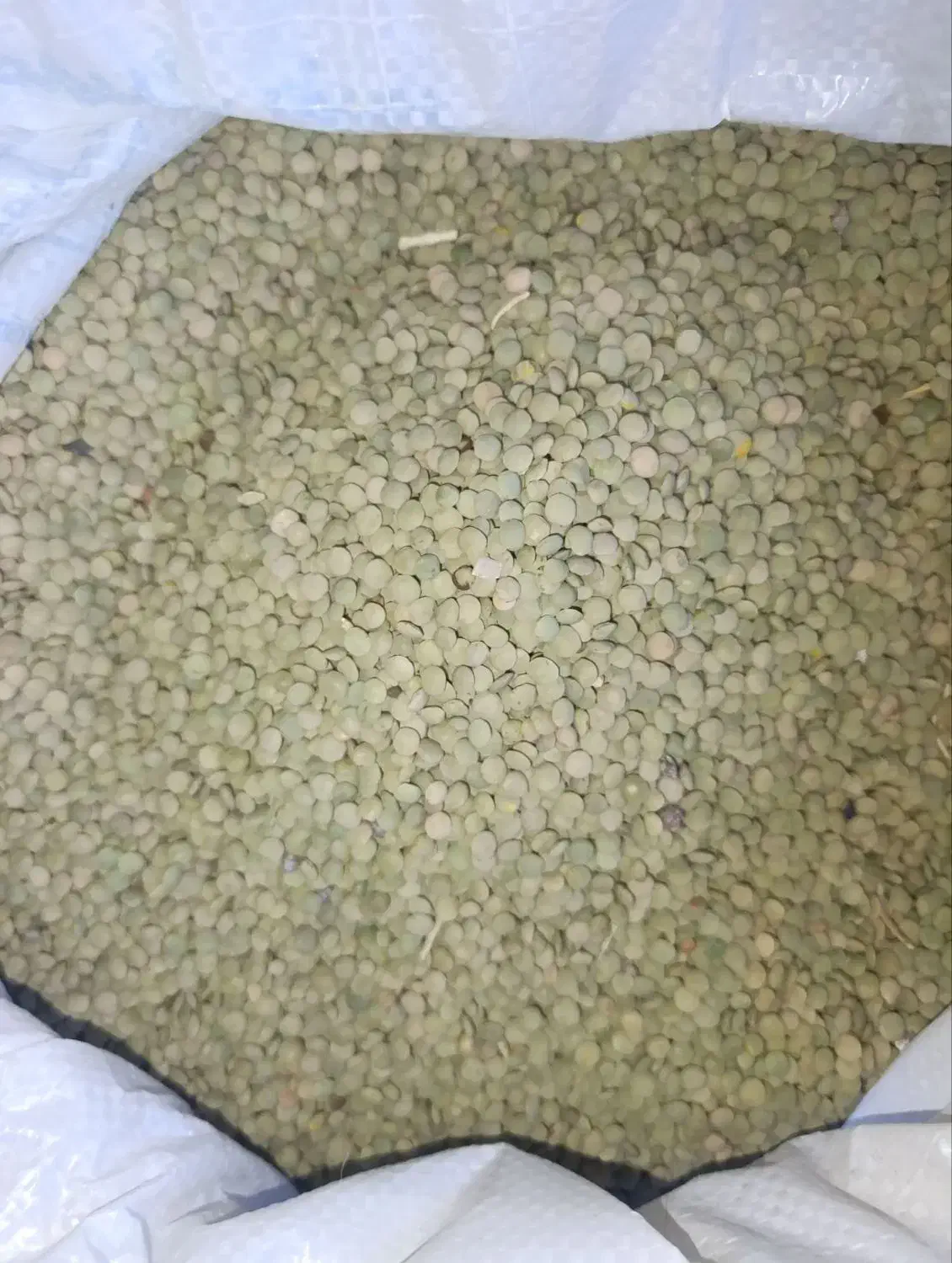 حبوبات|خوردنی و آشامیدنی|کوهین, |دیوار