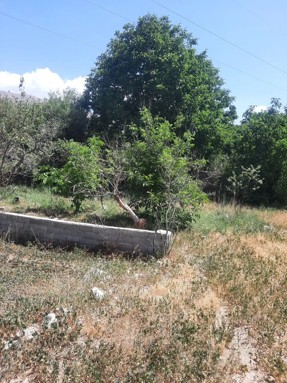 ۳۶۰متر باغچه درجابان - Widok 4