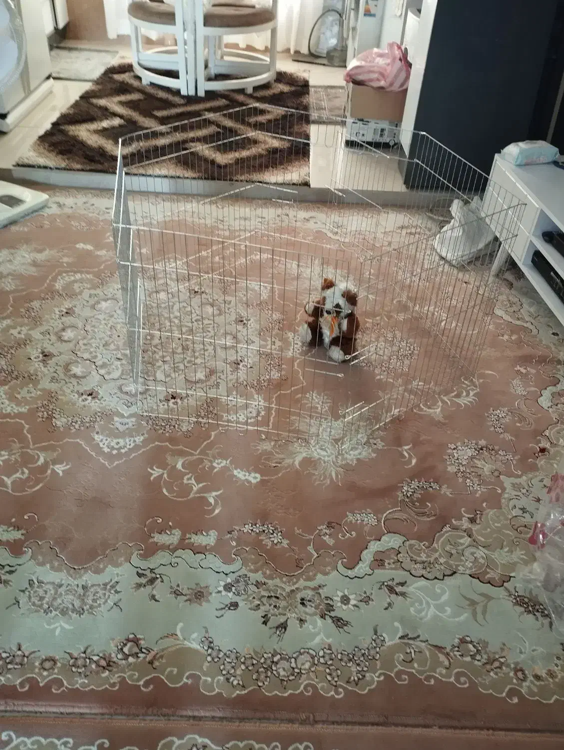 پارک سگ|لوازم جانبی حیوانات|تهران, خانی آباد نو جنوبی|دیوار