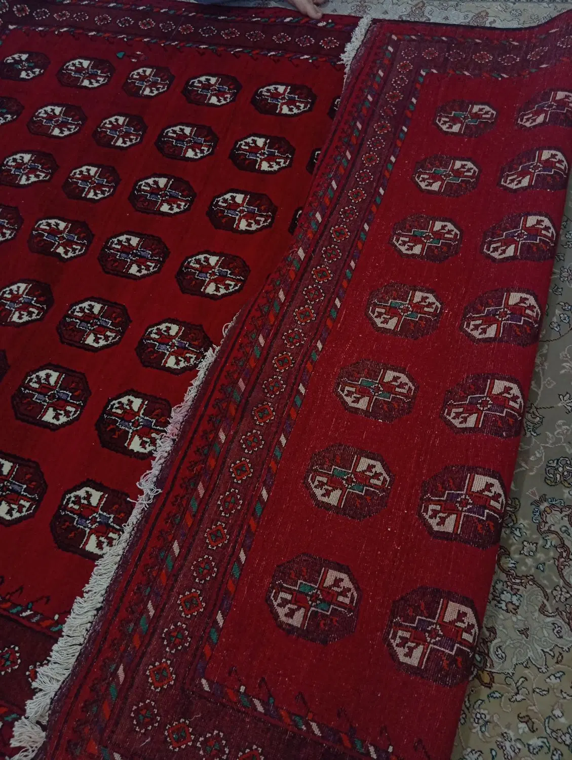 فرش|فرش|شیروان (خراسان), |دیوار