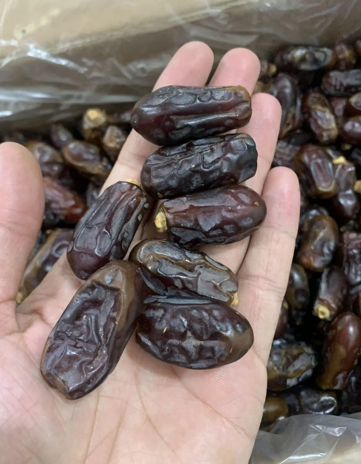 خرما|خوردنی و آشامیدنی|اندیمشک, |دیوار