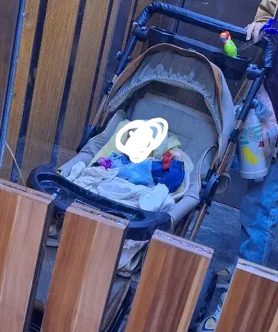 کالسکه|کالسکه و لوازم جانبی|پرند, فاز ۵|دیوار