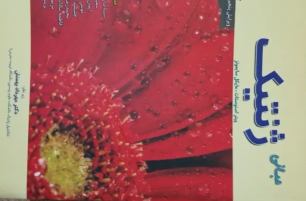 کتاب|کتاب و مجله ادبی|گرگان, |دیوار