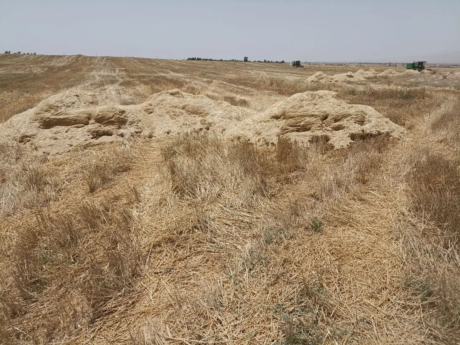 کاه|لوازم جانبی حیوانات|مهران (ایلام), |دیوار
