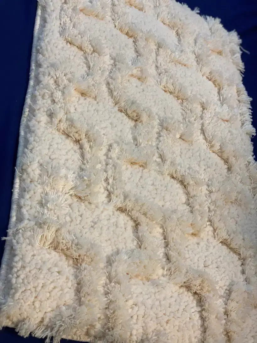 شگی|پادری|بندرعباس, |دیوار