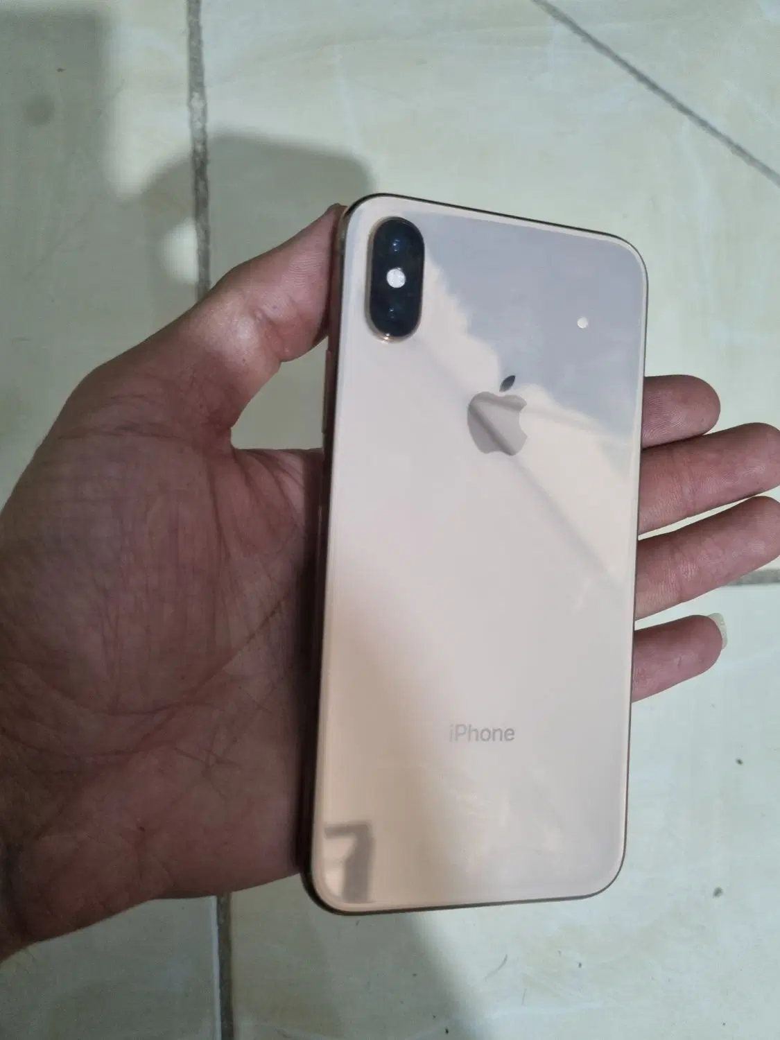 XS 256 Gold|موبایل|تربت‌حیدریه, دیزقند|دیوار