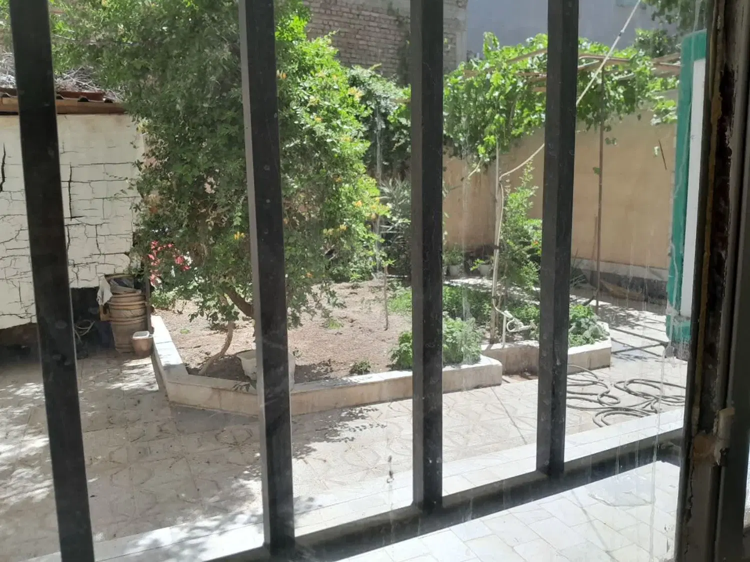 تصویر 5