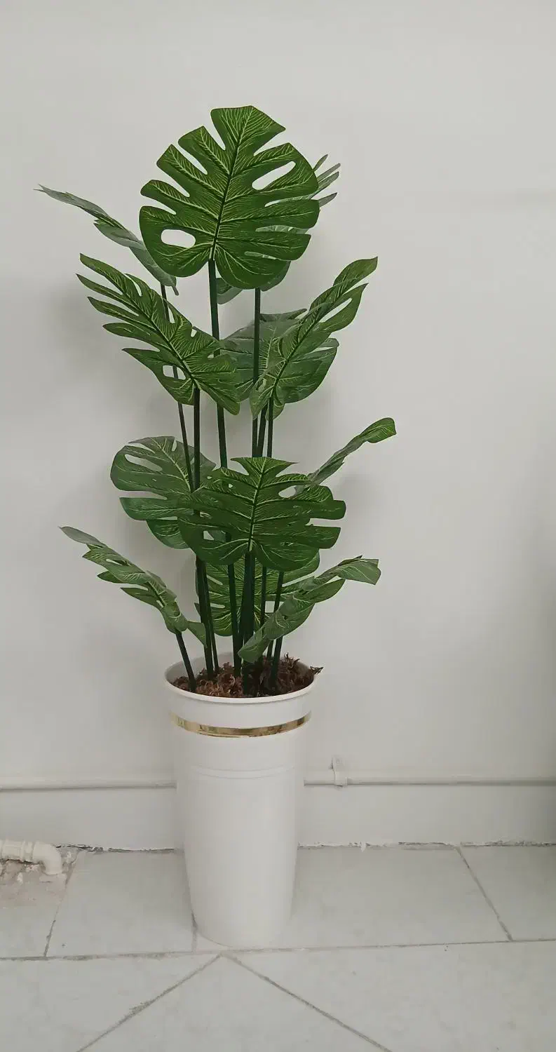 گل مصنوعی|گل مصنوعی|اندیشه, اندیشه فاز ۴|دیوار