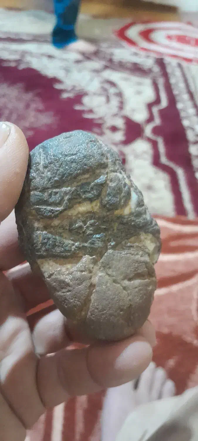 مشکوک|کلکسیون اشیاء عتیقه|افشار, |دیوار