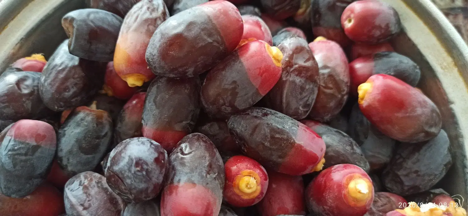 رطب|خوردنی و آشامیدنی|ریز, |دیوار