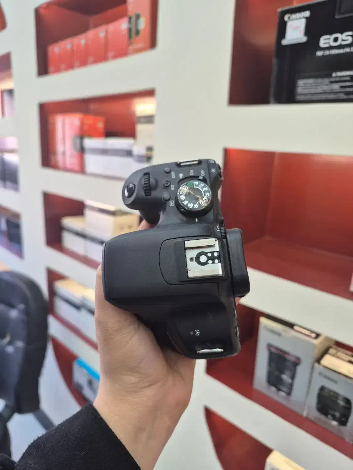 canon 800D body|دوربین عکاسی و فیلمبرداری|کرج, گلشهر|دیوار