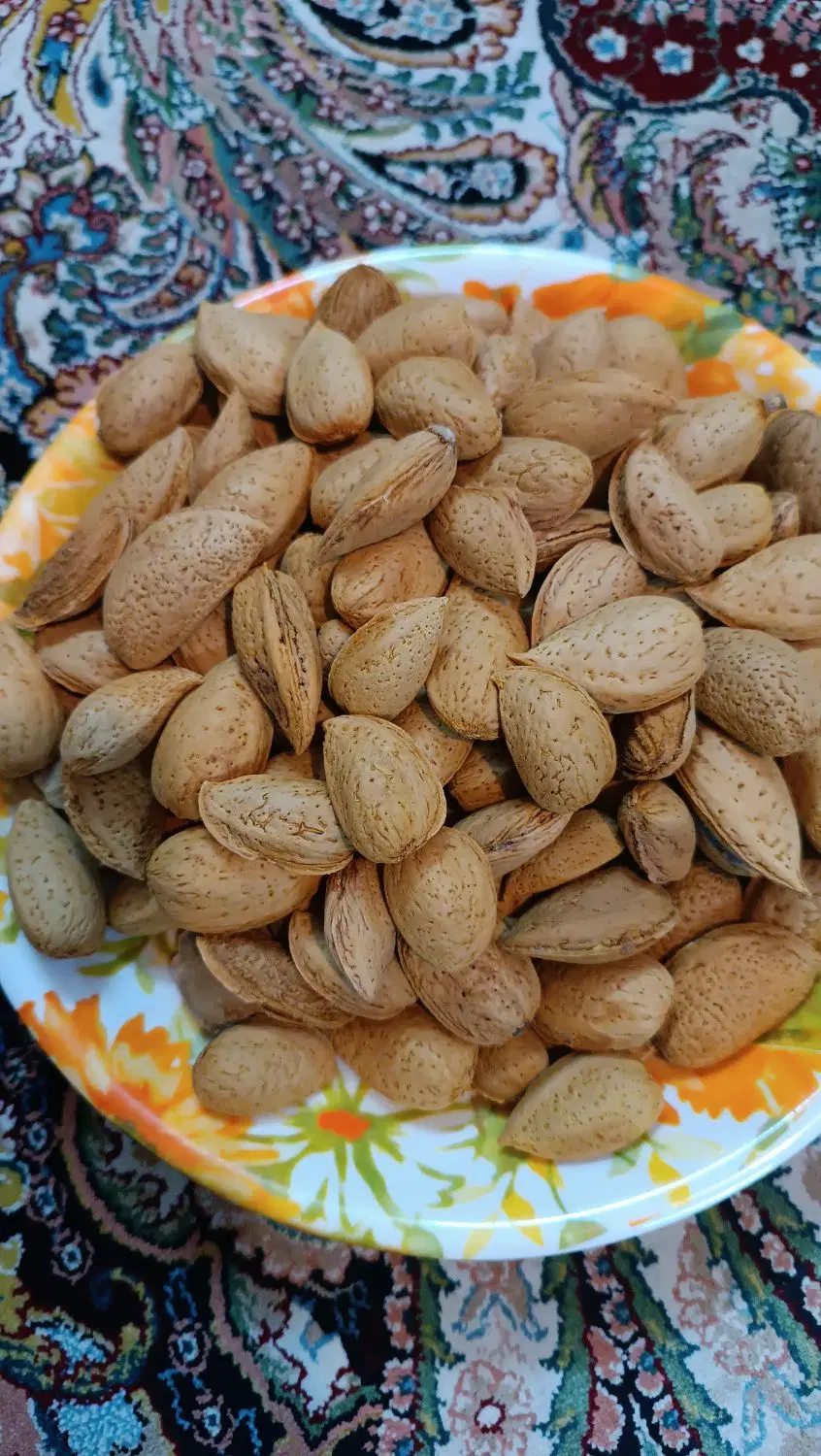 بادام سنگی|خوردنی و آشامیدنی|سبزوار, قصبه شرقی|دیوار