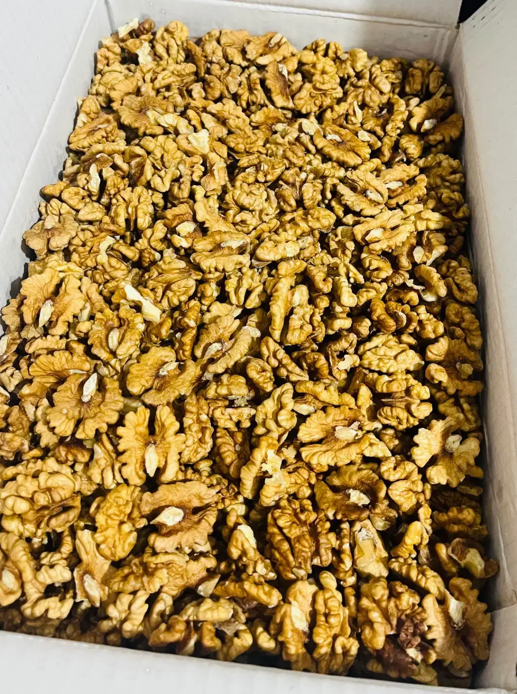 خشکبار|خوردنی و آشامیدنی|رحیم‌آباد, |دیوار