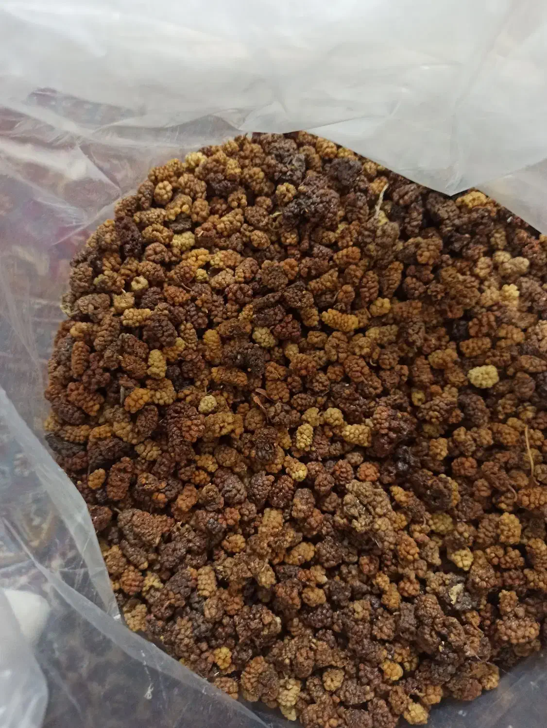 توت خشک|عمده‌فروشی|سنندج, |دیوار