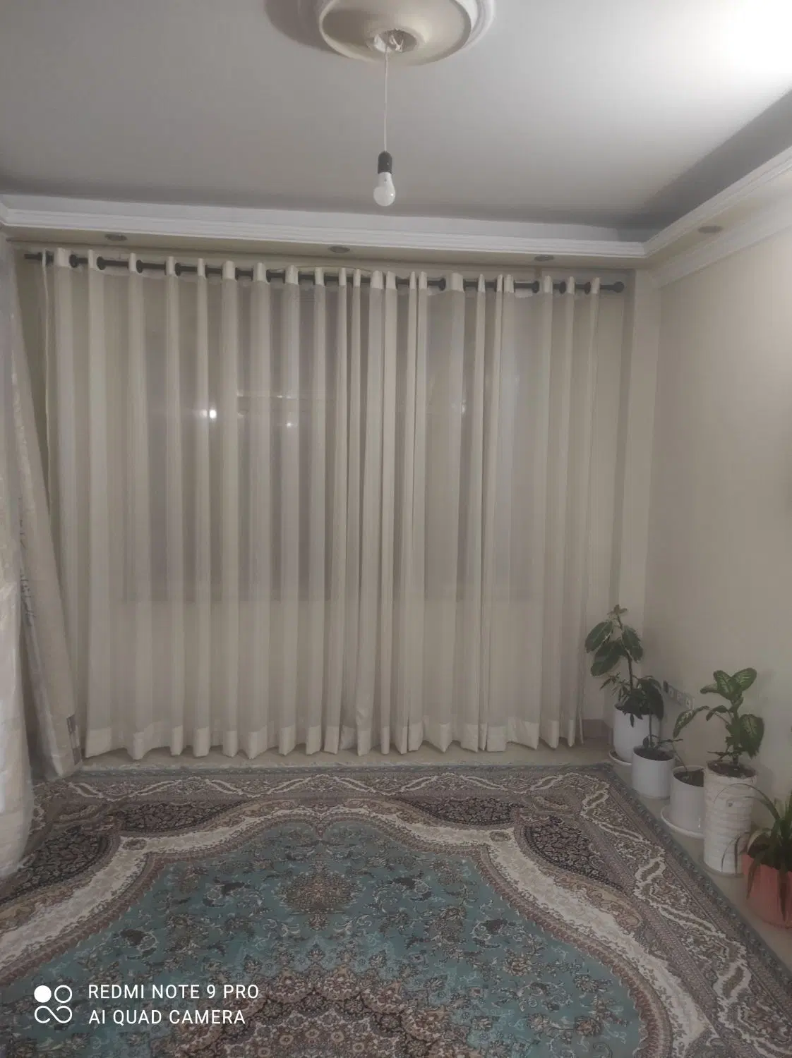 پرده|پرده، رانر، رومیزی|مشهد, اقبال|دیوار